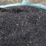 Những rủi ro khi sử dụng than rẻ tiền để lọc nước