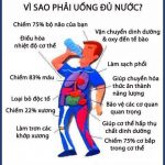 Vai trò của nước với đời sống sinh hoạt và hoạt động sản xuất